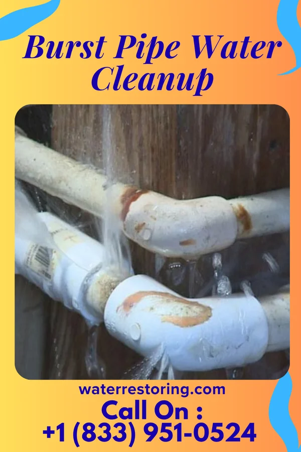 Burst Pipe Water Cleanup in Verona, WI