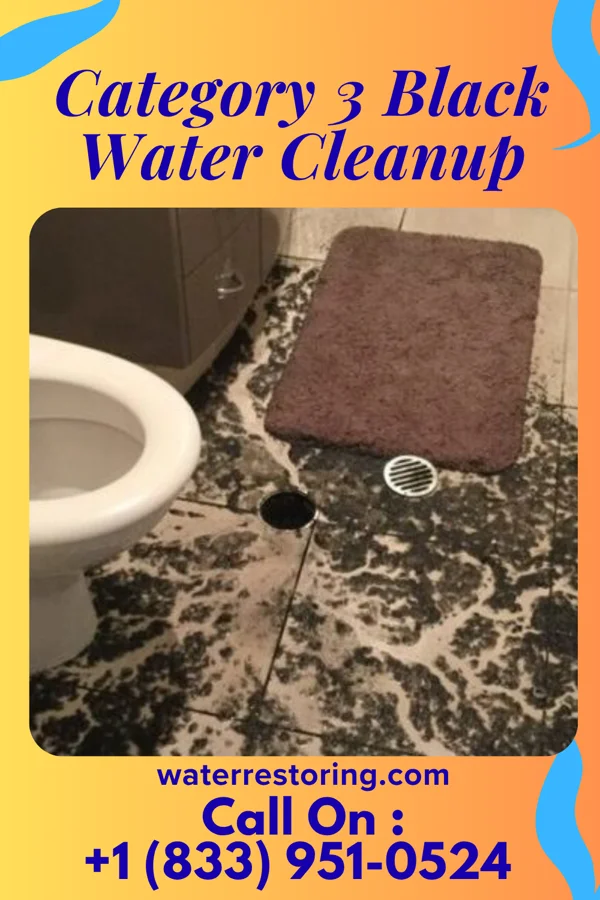 Category 3 Black Water Cleanup in Verona, WI