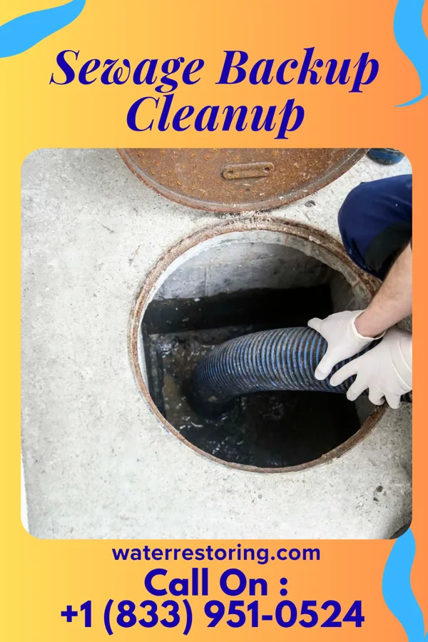 Sewage Backup Cleanup in Verona, WI