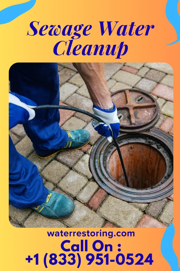 Sewage Water Cleanup in Verona, WI